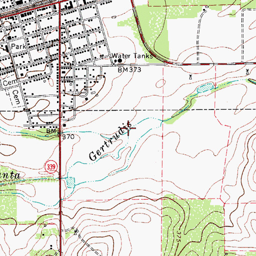 Topographic Map of Las Animas Creek, TX