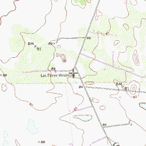 Topographic Map of Las Flores Windmill, TX