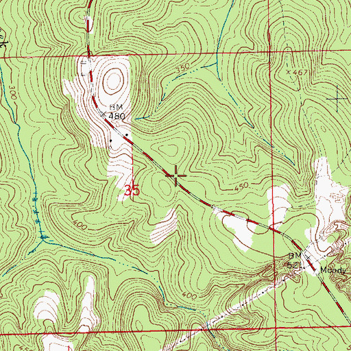 Topographic Map of Sasser Store (historical), AL