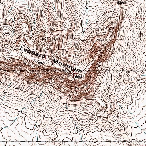 Topographic Map of Leonard Mountain, TX