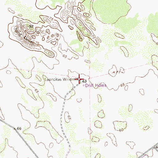 Topographic Map of Leoncitas Windmill, TX