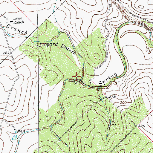 Topographic Map of Leopard Branch, TX