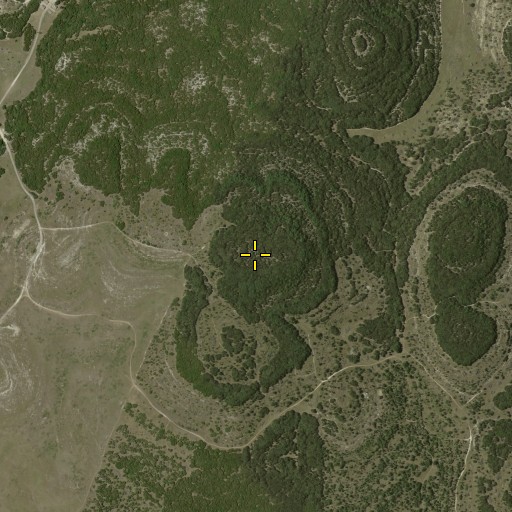 Aerial/Satellite Image of Lewis Hill, TX