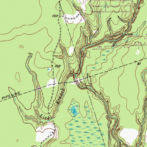 Topographic Map of Lick Branch, TX