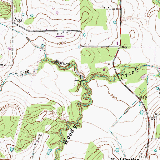Topographic Map of Lick Branch, TX