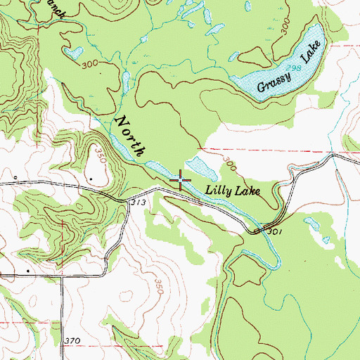 Topographic Map of Lilly Lake, TX