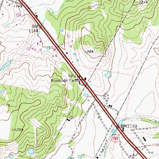 Topographic Map of Lilly Roadside Park, TX