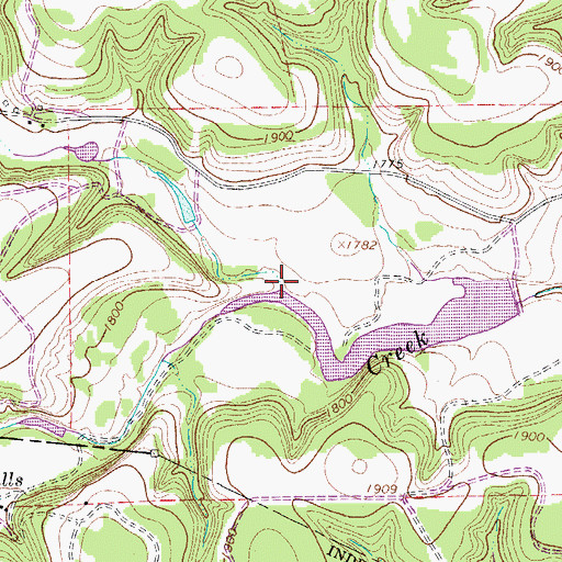 Topographic Map of Lin Prong, TX