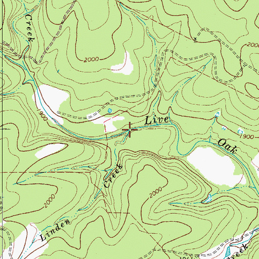 Topographic Map of Linden Creek, TX