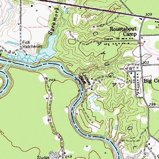 Topographic Map of Lindsey Bluff, TX