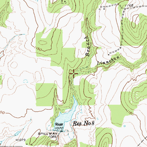Topographic Map of Linnehan Branch, TX