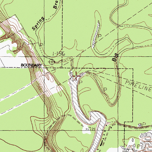 Topographic Map of Linney Creek, TX