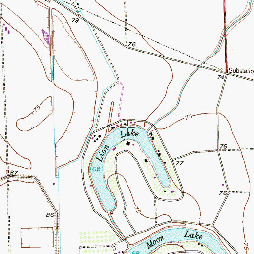 Topographic Map of Lion Lake, TX