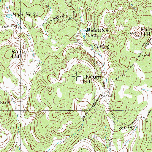Topographic Map of Liscum Hill, TX