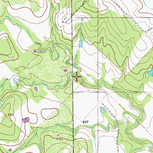 Topographic Map of Little Alum Creek, TX