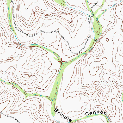 Topographic Map of Little Brindle Canyon, TX