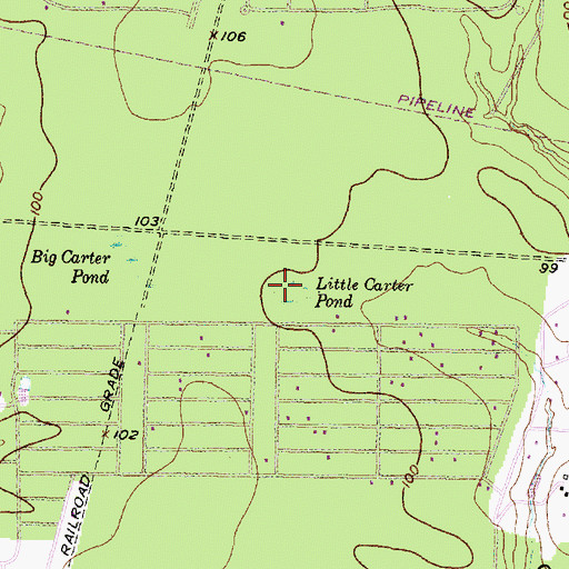 Topographic Map of Little Carter Pond, TX