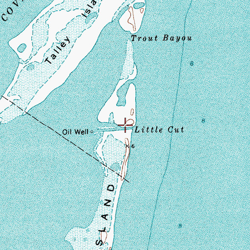 Topographic Map of Little Cut, TX