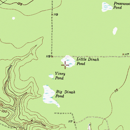 Topographic Map of Little Dinah Pond, TX