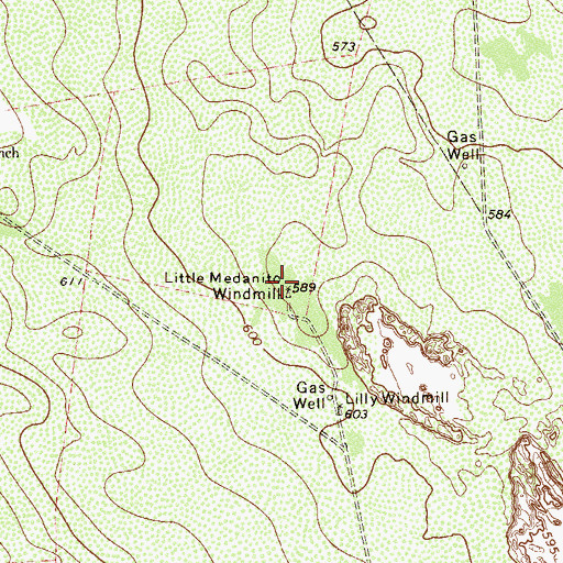 Topographic Map of Little Medanito Windmill, TX