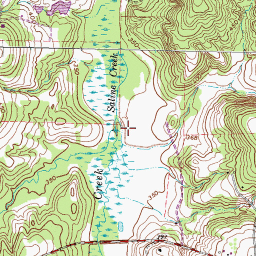 Topographic Map of Little Saline Creek, TX