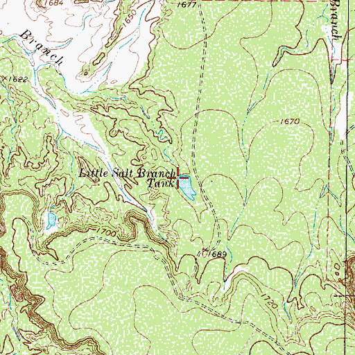 Topographic Map of Little Salt Branch Tank, TX