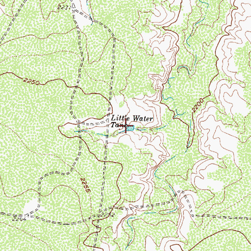 Topographic Map of Little Water Tank, TX