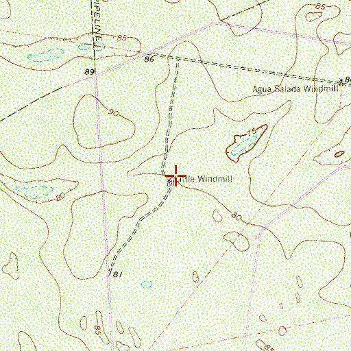 Topographic Map of Little Windmill, TX