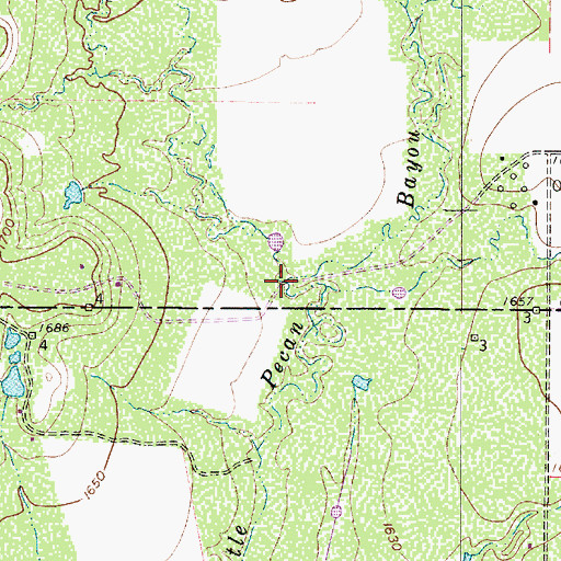 Topographic Map of Live Oak Branch, TX