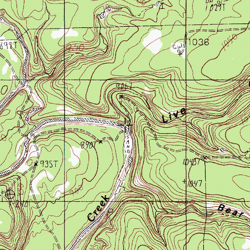 Topographic Map of Live Oak Canyon, TX