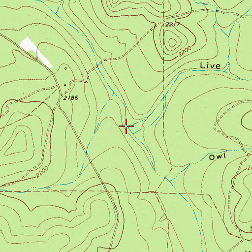 Topographic Map of Live Oak Draw, TX