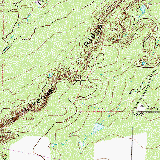 Topographic Map of Liveoak Ridge, TX