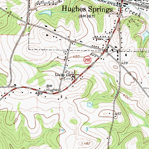 Topographic Map of Livity Church, TX
