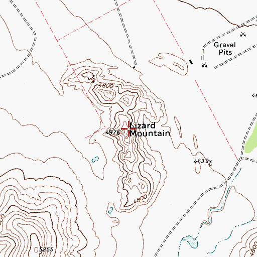 Topographic Map of Lizard Mountain, TX