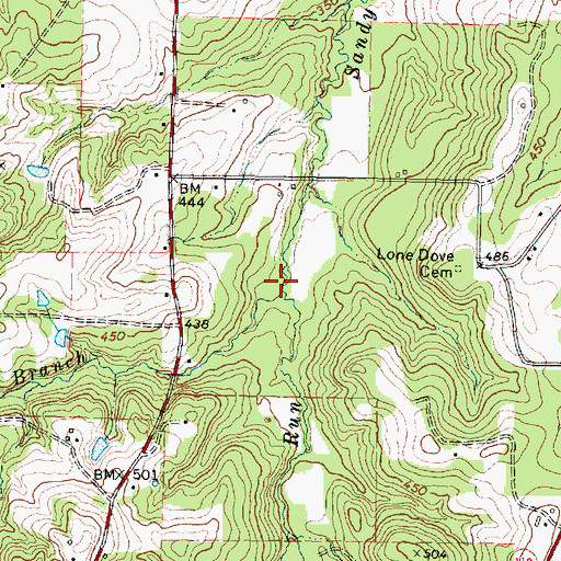 Topographic Map of Lizard Run, TX
