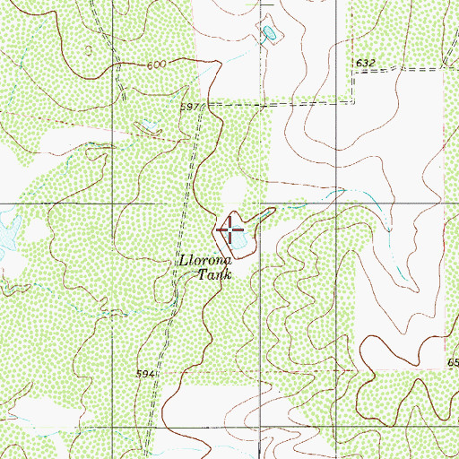 Topographic Map of Llorona Tank, TX