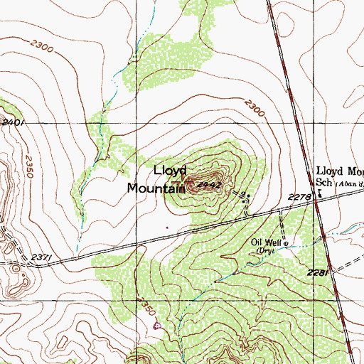Topographic Map of Lloyd Mountain, TX