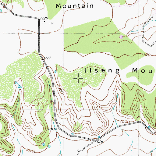 Topographic Map of Ilseng Mountain, TX