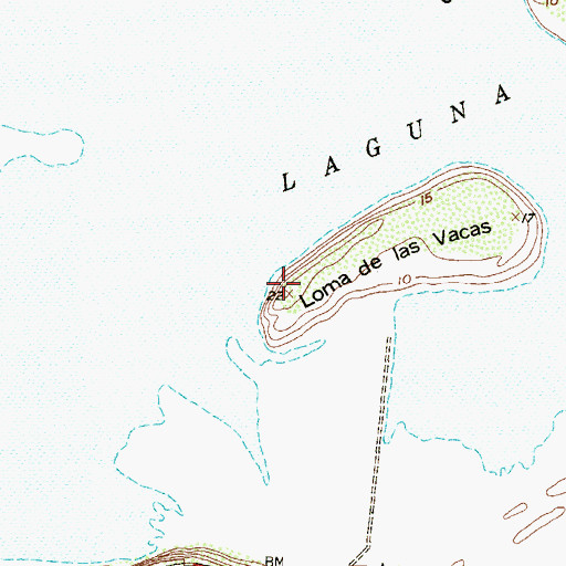 Topographic Map of Loma de las Vacas, TX