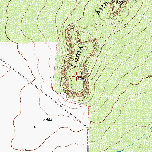 Topographic Map of Loma Alta, TX