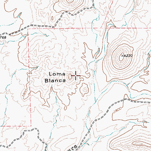 Topographic Map of Loma Blanca, TX