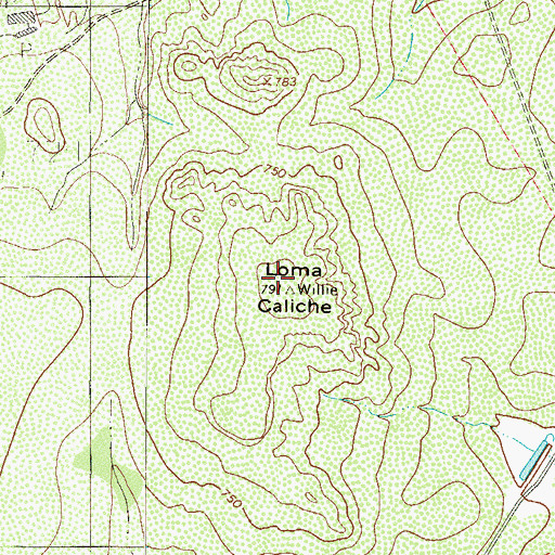 Topographic Map of Loma Caliche, TX