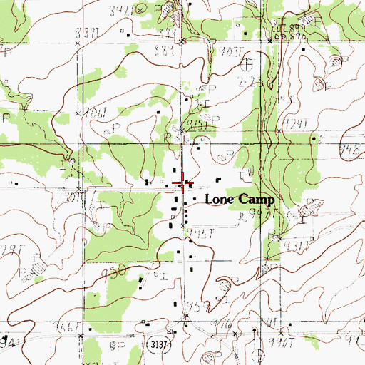 Topographic Map of Lone Camp, TX