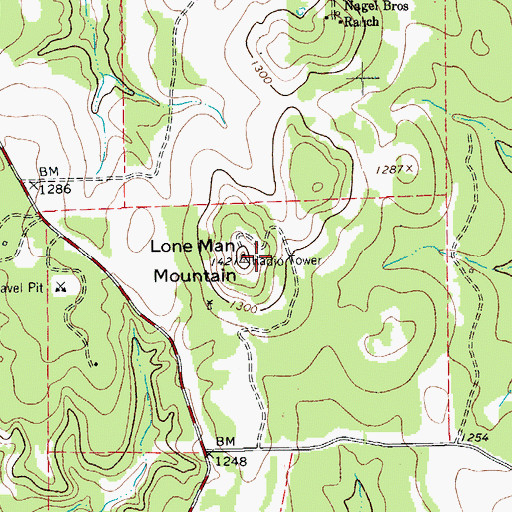 Topographic Map of Lone Man Mountain, TX