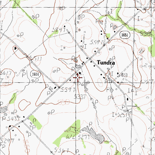 Topographic Map of Lone Star School, TX