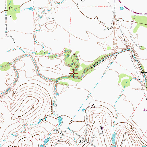 Topographic Map of Long Branch, TX