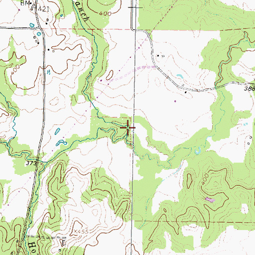 Topographic Map of Long Branch, TX