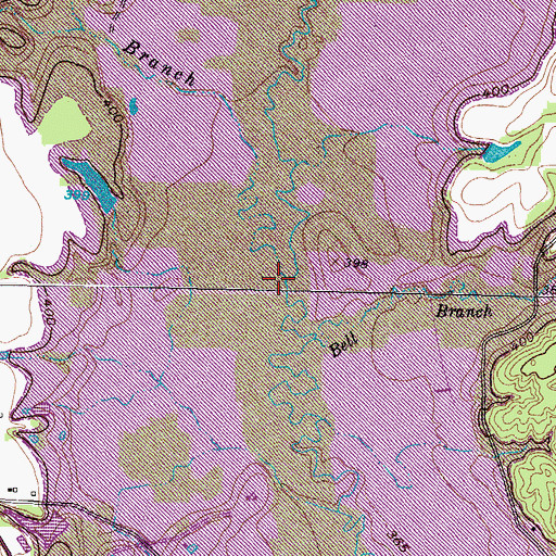 Topographic Map of Long Branch, TX