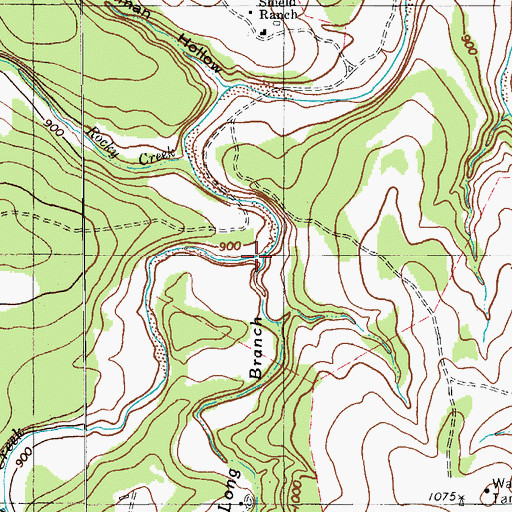 Topographic Map of Long Branch, TX