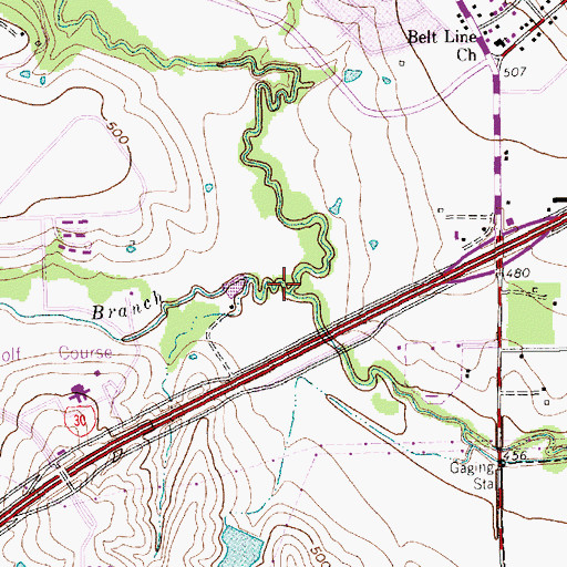 Topographic Map of Long Branch, TX